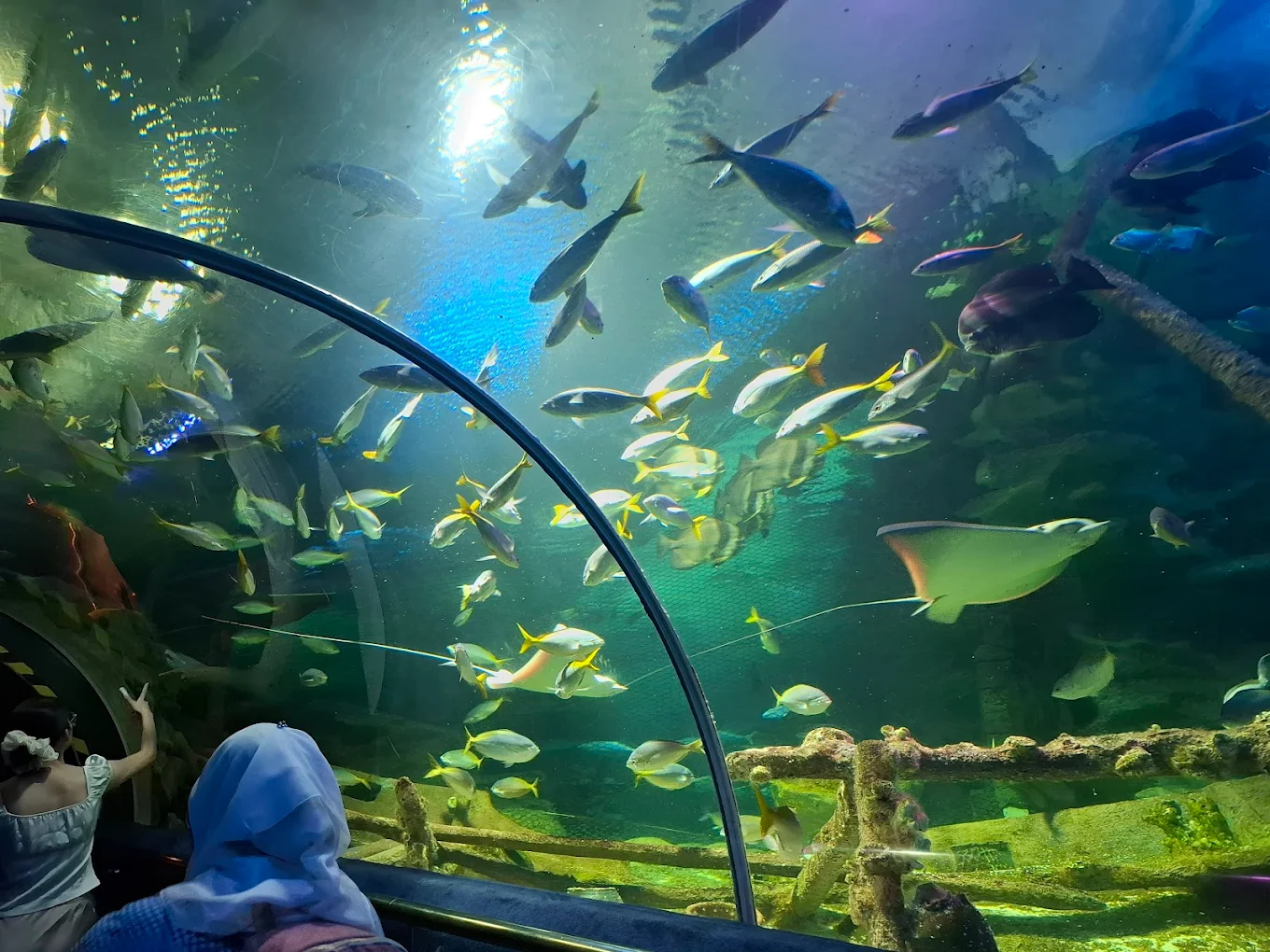 Aquaria KLCC