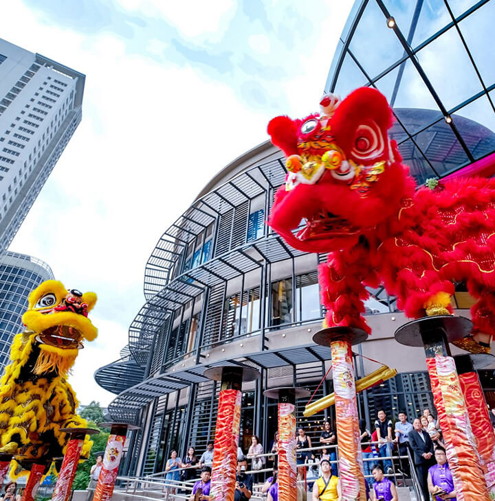 Lion dance performance
