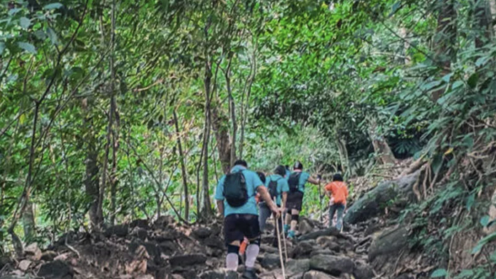 Bukit Kiara Park, Bukit Kiara